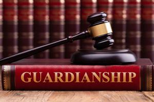 naperville guardianship lawyer